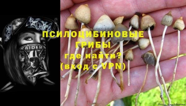 мдпв Вязьма