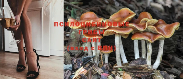 мет Вяземский