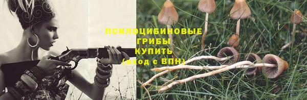 мдпв Вязьма