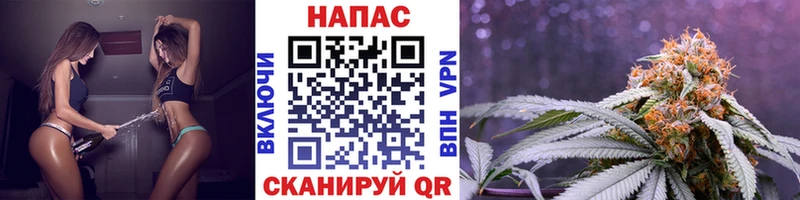 купить закладку  Данилов  Канабис Bruce Banner 